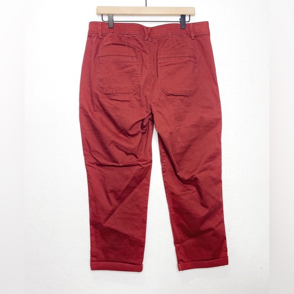 Democracy Ancient Clay Ab"solution Utility Relaxed Straight Leg Cargo Pants 16P - Picture 3 of 7